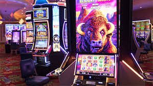 Meja permainan Live Baccarat di studio profesional jco toto dengan dealer bersertifikat